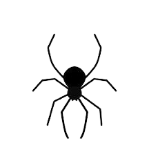 spider